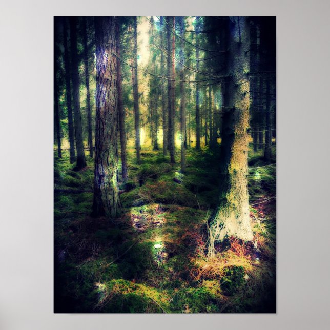 Among The Fairies Poster (Framsidan)