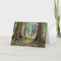 "Amongst redwoodträden",