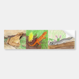 Amphibianer Bildekal