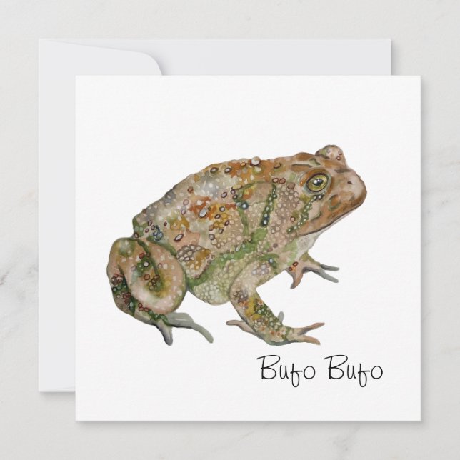 Amphibians, Reptiles & Insects Watercolor Inbjudningar (Framsida)