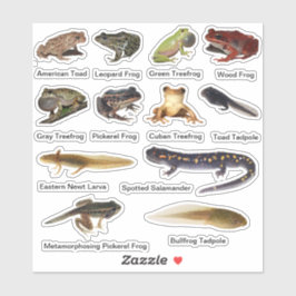 Amphibians Vinyl Stickers Klistermärken