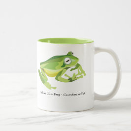 AmphibiaWeb Centrolene mugg