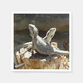 Amphion och Zethus Pappersservett