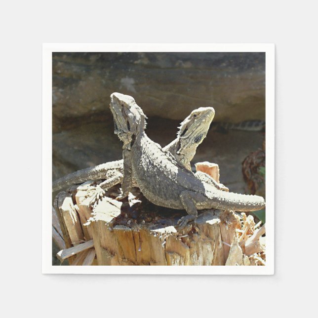 Amphion och Zethus Pappersservett (Framsidan)