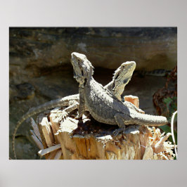 Amphion och Zethus Poster