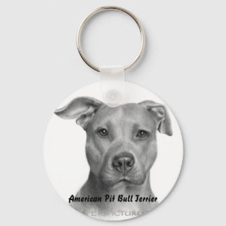 AMPT-Nyckelring Nyckelring