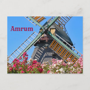 Amrum Kvarn, Nebel, Nordfriesland, Tyskland Vykort