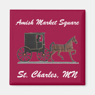 AMS MAGNET