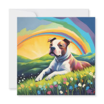 Amstaff American Stafford Terrier Rainbow Hund