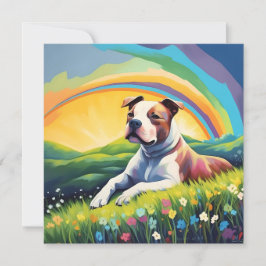 Amstaff American Stafford Terrier Rainbow Hund
