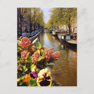 Amsterdam Canal Sunny Fall Day Bloemgracht Vykort