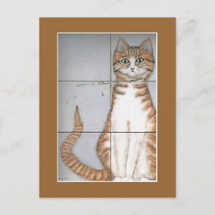 Amsterdam Cat Postcard Vykort