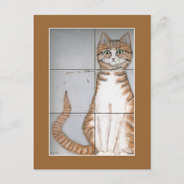 Amsterdam Cat Postcard Vykort (Framsida)