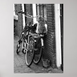 Amsterdam Cats on Bicycles Black & White Photo Poster