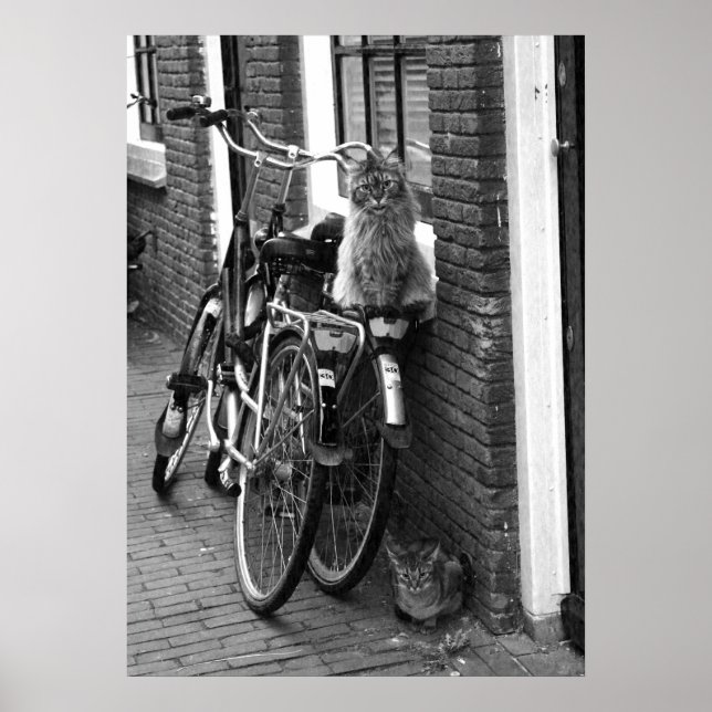 Amsterdam Cats on Bicycles Black & White Photo Poster (Framsidan)