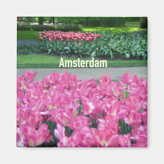 Amsterdam Magnet (Framsidan)