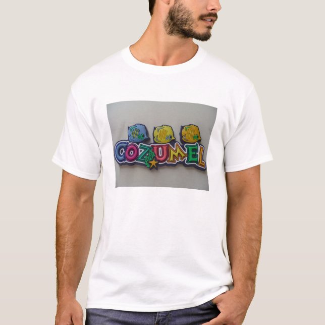 Amtrak bilder 041 tee shirt (Framsida)