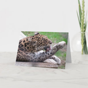 Amur Leopard Greeting Card Kort