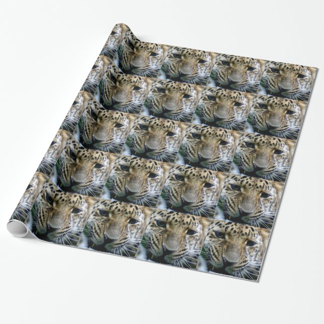 Amur Leopard Presentpapper (Utrullad)