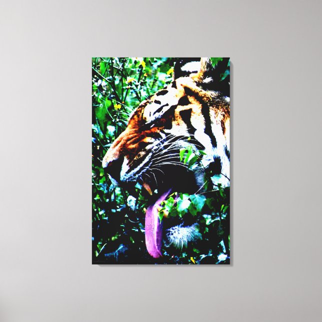 Amur Tiger 24 x 36 (60 x 90 cm) waccnm Canvastryck (Framsida)