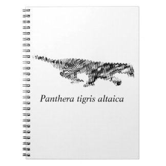 Amur Tiger#2 Anteckningsbok Med Spiral