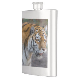 Amur tiger fickplunta