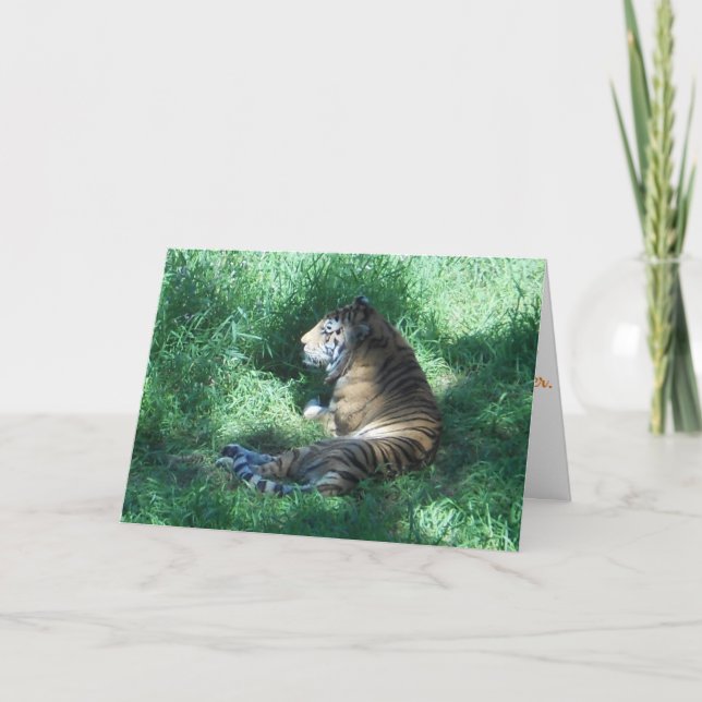 "Amur Tiger" födelsedagskort Kort (Framsida)