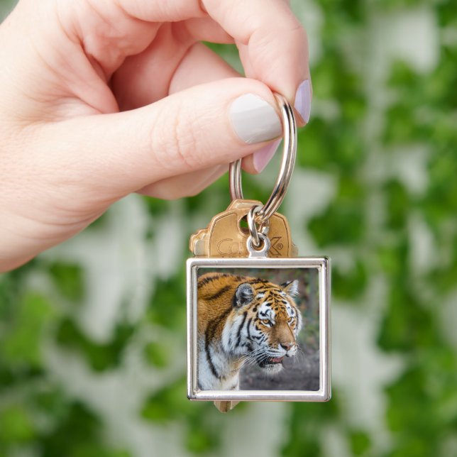 Amur tiger fyrkantig silverfärgad nyckelring (Hand)