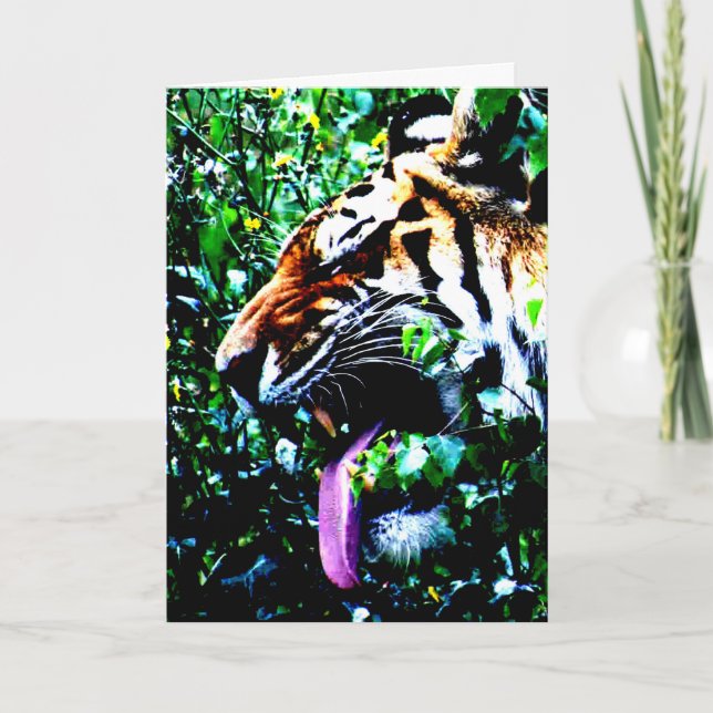 Amur Tiger gccna Kort (Framsida)