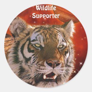 Amur Tiger & Jupiter Big Cat Fantasy Stickers Runt Klistermärke