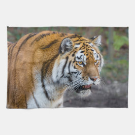 Amur tiger kökshandduk
