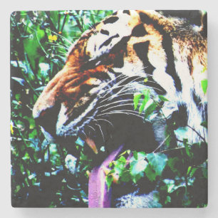 Amur Tiger kusterm Stenunderlägg
