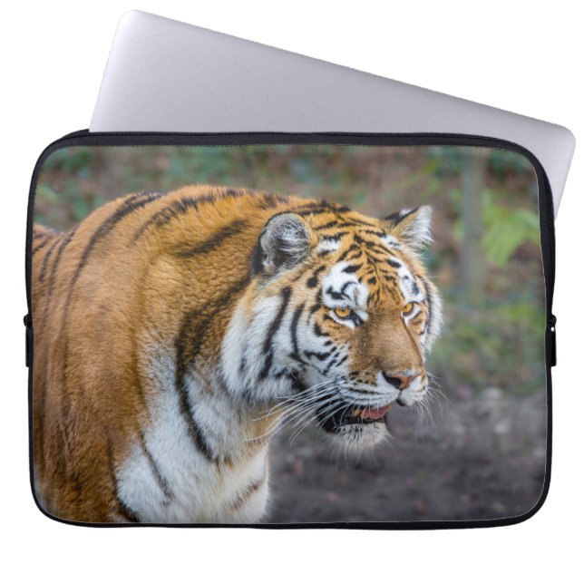 Amur tiger laptop fodral (Framsidan)