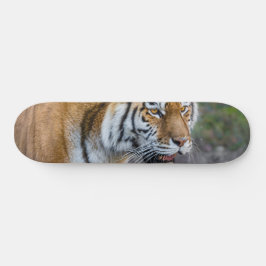 Amur tiger mini skateboard bräda 18,5 cm