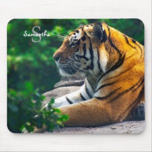 Amur Tiger Musmatta