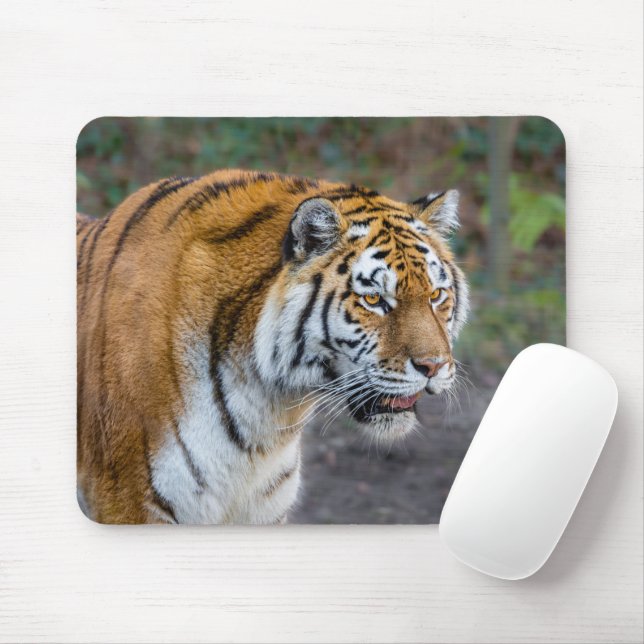 Amur tiger musmatta (Med mus)