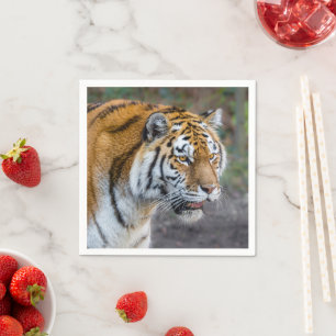 Amur tiger pappersservett
