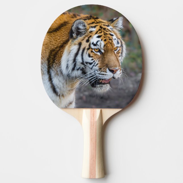 Amur tiger pingisracket (Framsidan)