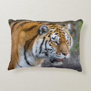 Amur tiger prydnadskudde