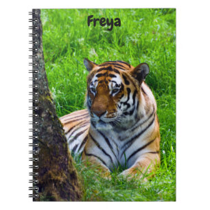 Amur Tiger Spiral Anteckningsbok