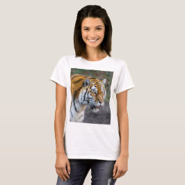 Amur tiger t shirt