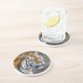 Amur tiger underlägg