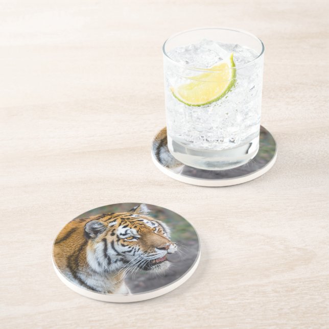 Amur tiger underlägg (Sidan)