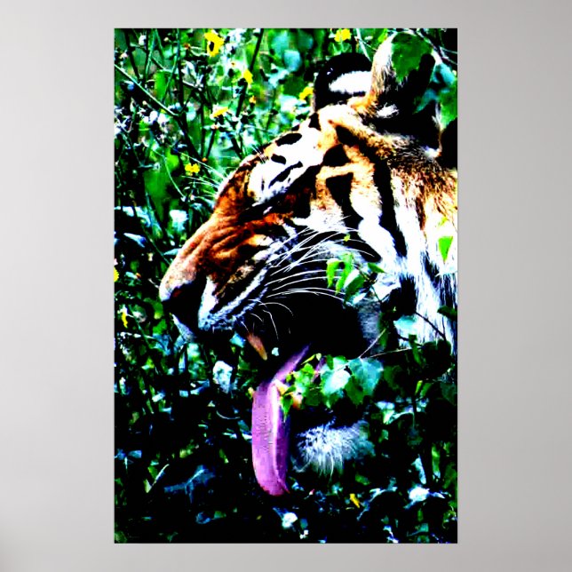 Amur Tiger wapcnm Poster (Framsidan)