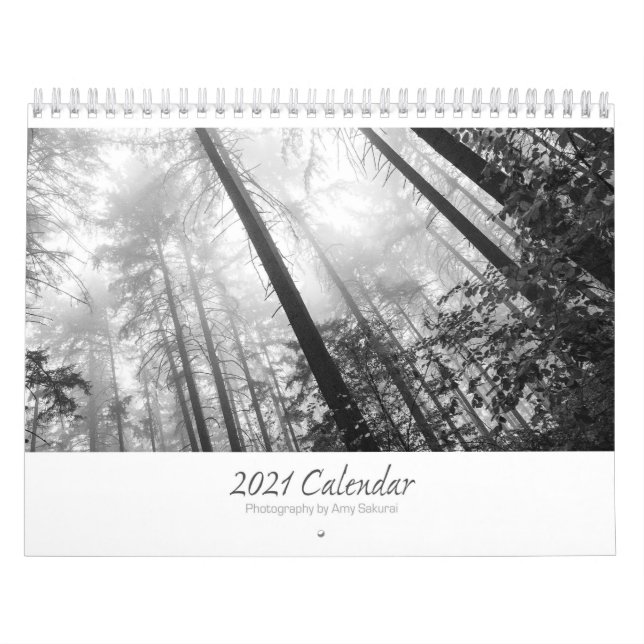 Amy's 2021 Monochrome Photo Calendar Kalender (Omslag)