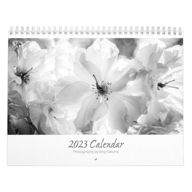 Amy's 2023 Monochrome Calendar Kalender (Omslag)