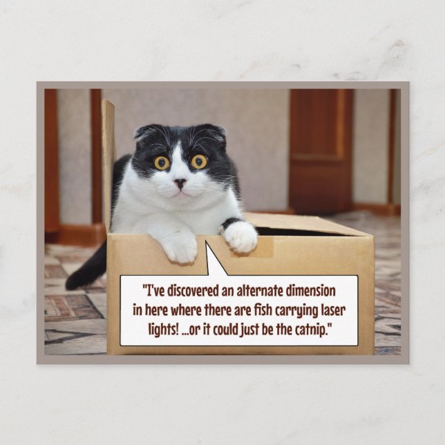 An alternate dimension helg vykort (Framsida)