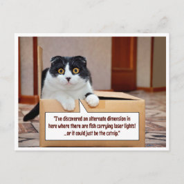 An alternate dimension vykort