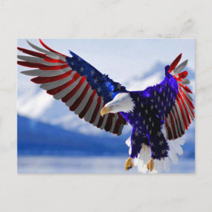 An American Eagle Vykort