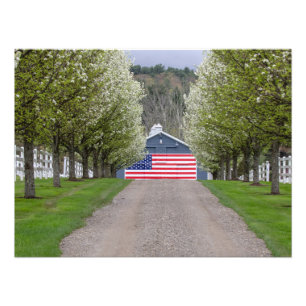 An American Farm Fototryck